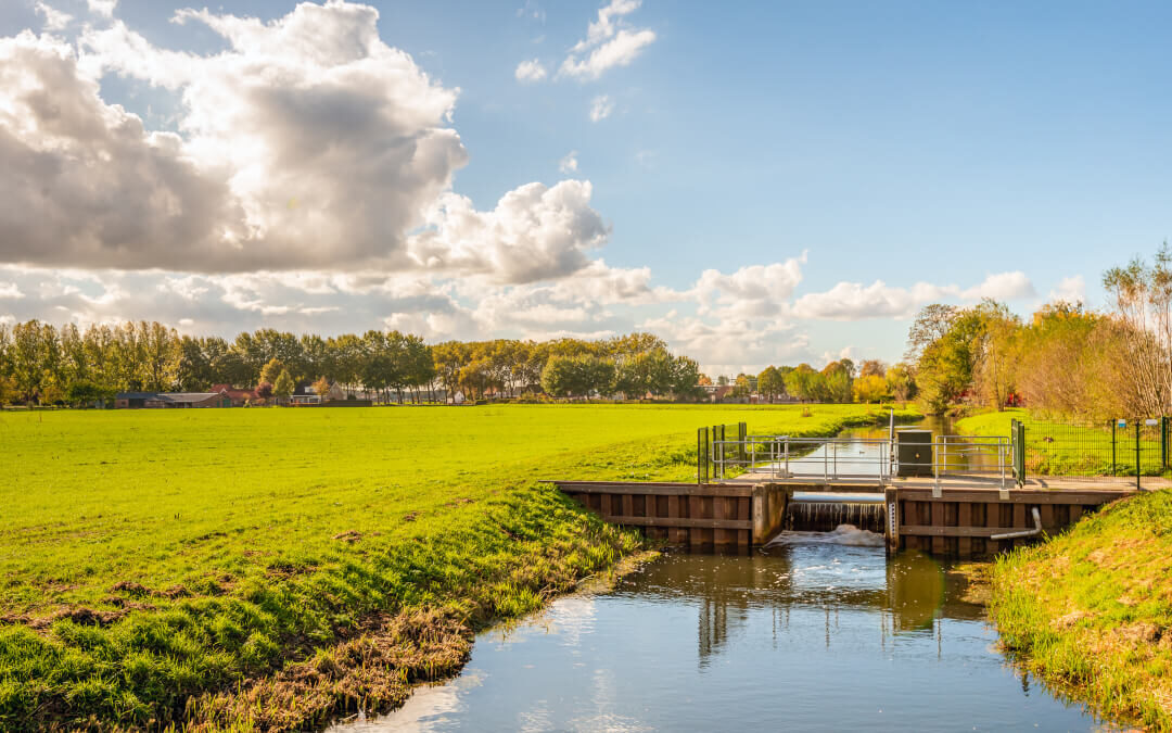 Dutch landscape with water management like managing cloud costs with finops software