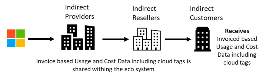 Microsoft usage and cost data to the customer